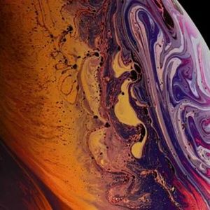 Meet your Posher, Ricardo